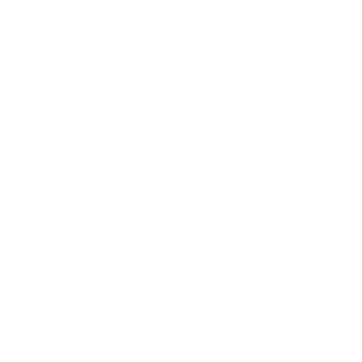 Business model icon