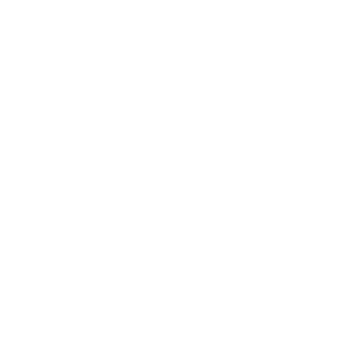 support icon